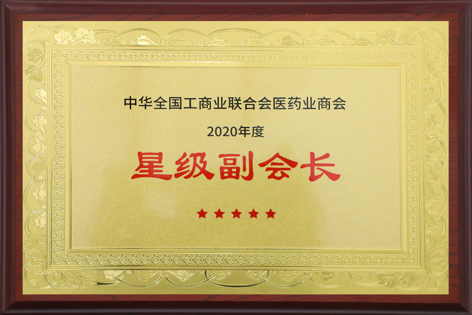 Hiệp hội Thương mại Công nghiệp Toàn quốc về Y dược Hội đồng Phó chủ tịch sao vàng năm 2020 Hiệp hội Thương mại Công nghiệp Toàn quốc về Y dược Hội đồng Phó chủ tịch sao vàng năm 2020